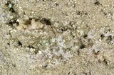 Rough Pyrite Cluster with Druzy Quartz - Peru #50113-1